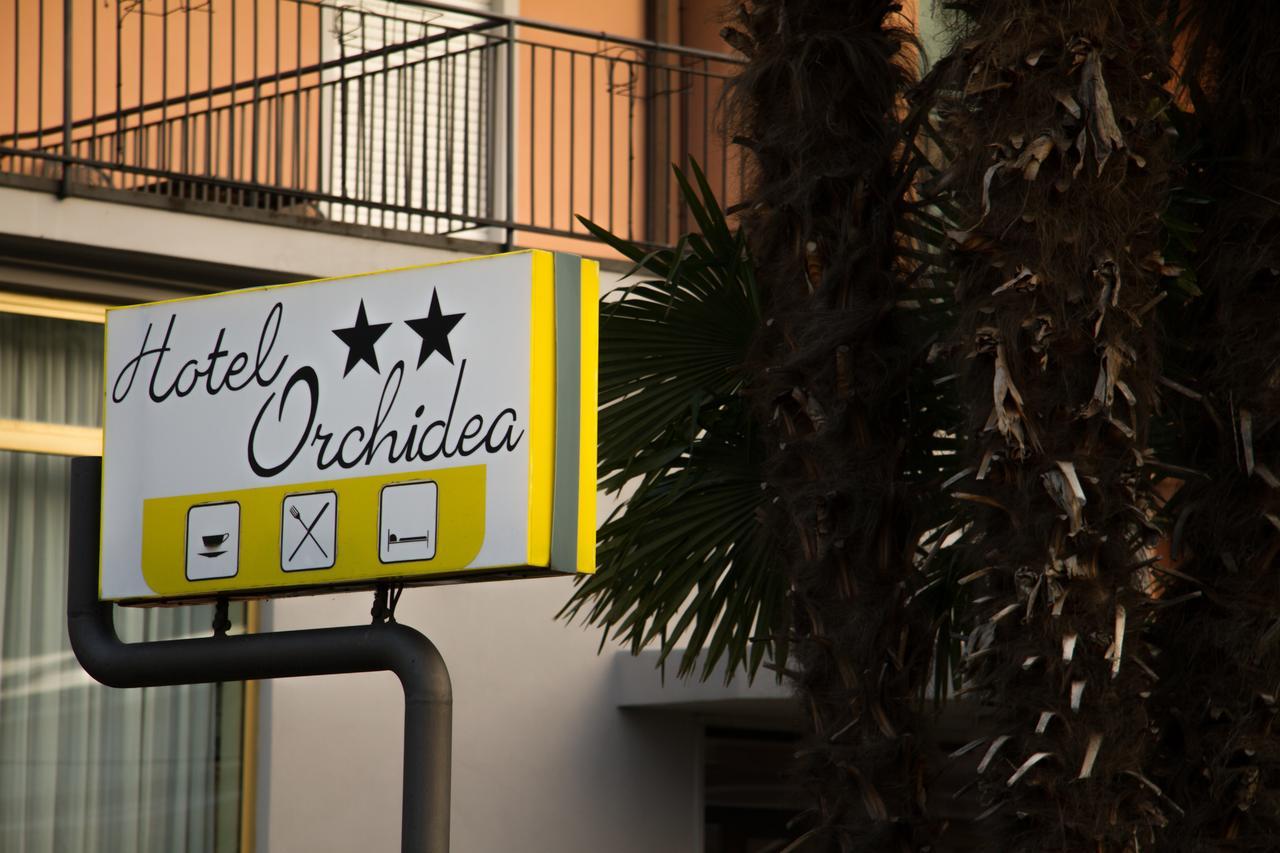 Orchidea